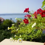 Oda ve Kahvaltı Haus Josipa Maslenica