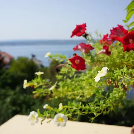 Bed and breakfast Haus Josipa Maslenica