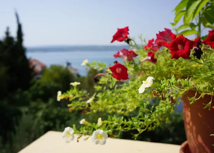 לינה וארוחת בוקר Haus Josipa מסלניקה